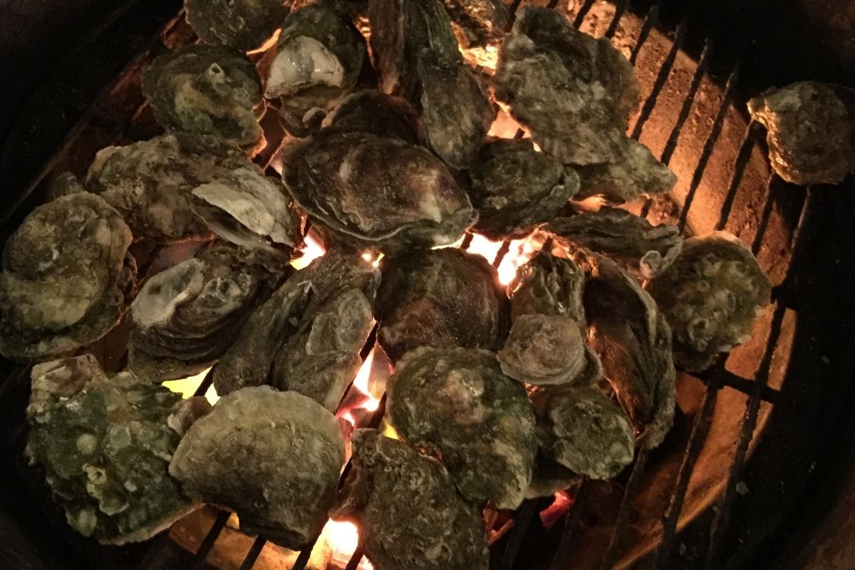 How To Make Smoked Oysters (5 Super Simple Steps (1)