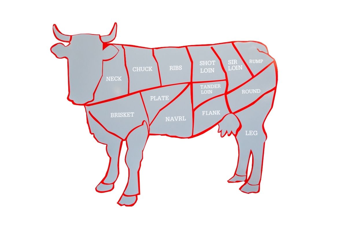 What Part Of The Cow Is Brisket? A BBQ Beginner’s Guide