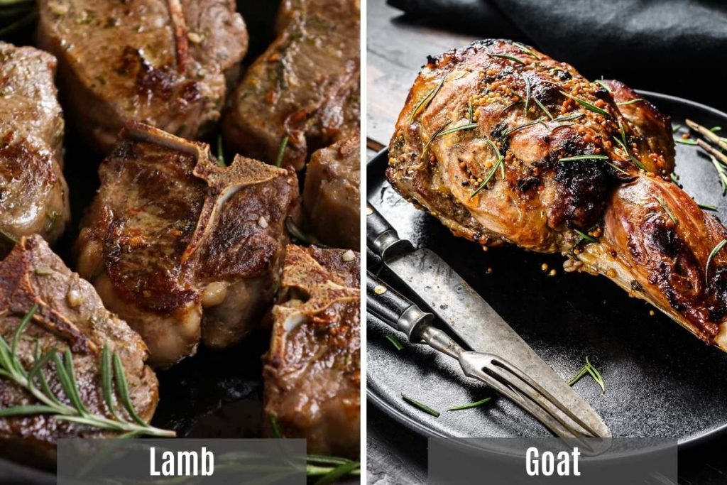 Goat Vs Lamb: Which One Is Best? 