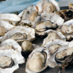 How To Cook Oysters?