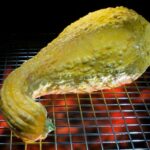 Grilled Yellow Squash Recipes!